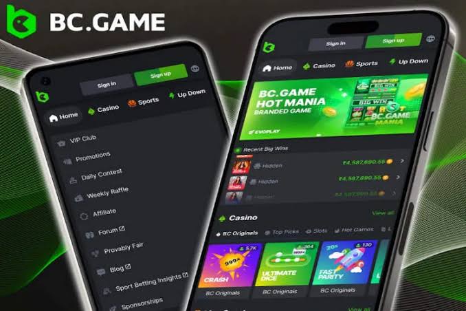 Exploring BC.Game Online Platform A Hub for Gamers and Crypto Enthusiasts